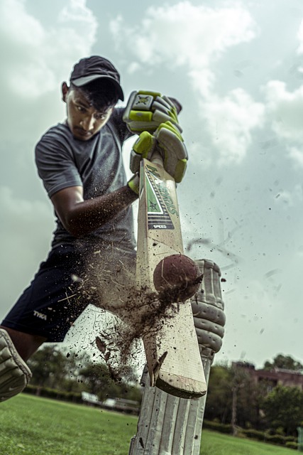 The Role of Cricket in Promoting Sports Diplomacy and International Travel